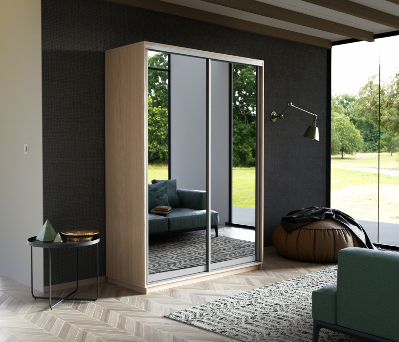 Шкафы-купе, Шкаф-купе Экспресс Экспенс дуо 2400 x 1200 x 600