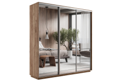 Шкафы-купе 3-х дверные, Шкаф-купе Экспресс Экспенс трио 2200 x 1800 x 450