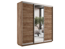 Шкафы-купе, Шкаф-купе Экспресс Медиум (1 зеркало) трио 2200 x 2100 x 600