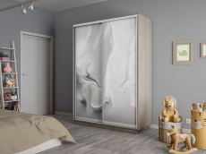 Шкафы-купе 2-х дверные, Шкаф-купе Экспресс 2-х дверный Фотопечать Шелк Стекла 120х60х240