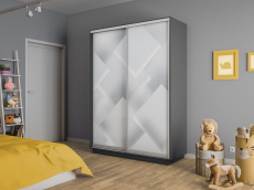 Шкафы-купе 2-х дверные, Шкаф-купе Экспресс 2-х дверный Фотопечать Квадрат Стекла 160х45х240