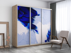 Шкафы-купе, Шкаф-купе Экспресс 1010, 180х45х220