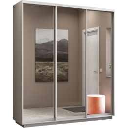 Шкаф-купе Экспресс Экспенс трио 2400 x 1800 x 600