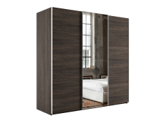 Шкафы-купе 3-х дверные, Шкаф-купе Эста ДСП+Зеркало+ДСП 240х66х240