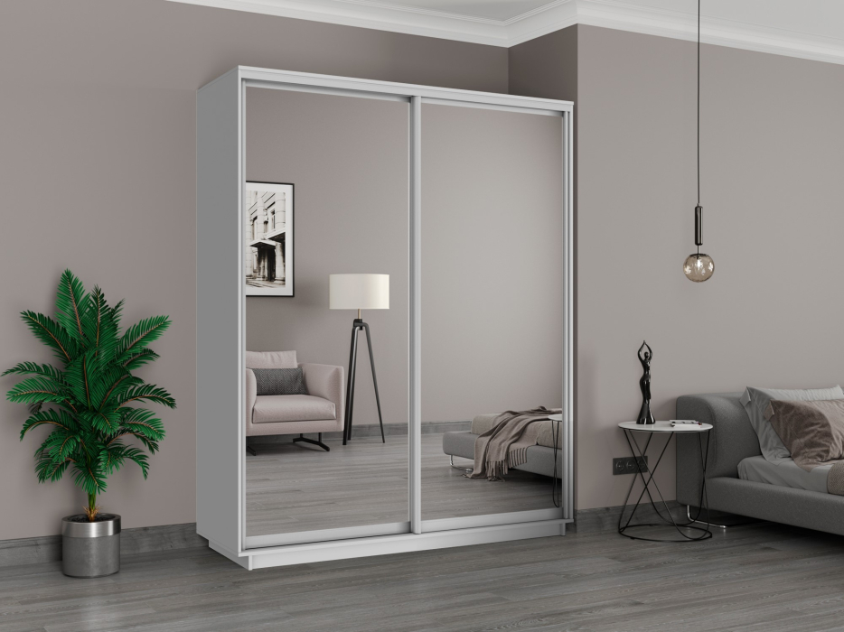 Шкафы-купе, Шкаф-купе Экспенс Широкий, 180х60х220