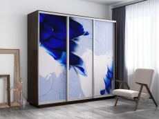 Шкафы-купе, Шкаф-купе Экспресс 1010, 180х45х220