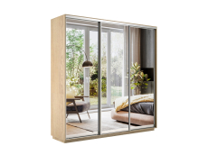 Шкафы-купе 3-х дверные, Шкаф-купе Экспресс Экспенс трио 2200 x 1800 x 450